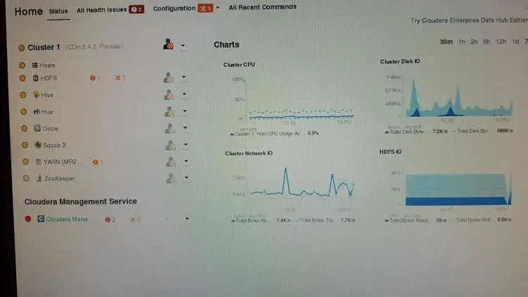 Hadoop Running Services