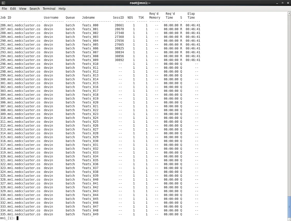 Torque Job Listing (NEDC Test Cluster)