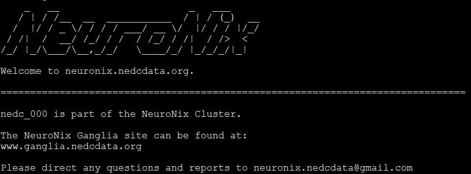 Neuronix Cluster